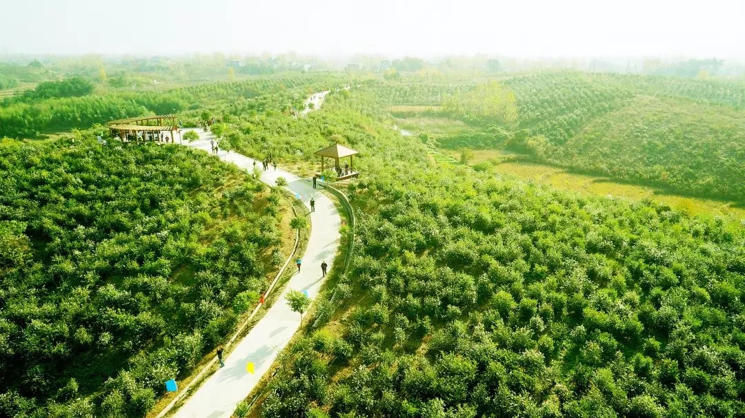  為“國(guó)油”產(chǎn)業(yè)化插上智能科技的翅膀〡東旭藍(lán)天積極探索兩化融合，油茶產(chǎn)業(yè)邁向工廠智能化