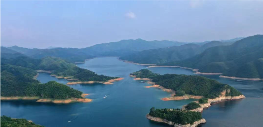 媒體報(bào)道 | 引領(lǐng)大別山油茶產(chǎn)業(yè)發(fā)展 東旭藍(lán)天為老區(qū)振興添活力