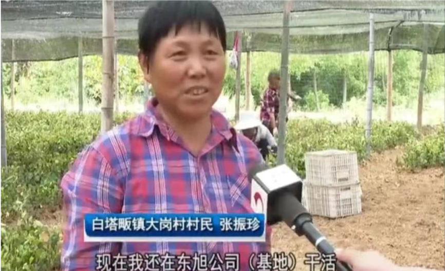 圖片 2.png